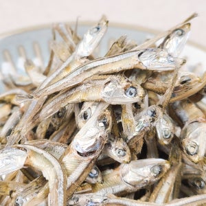 깊은 맛을 담은 계절의 진미 오사리 고바멸치 (국내산) 1.5kg