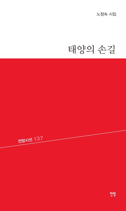 태양의 손길 (노정숙 시집)