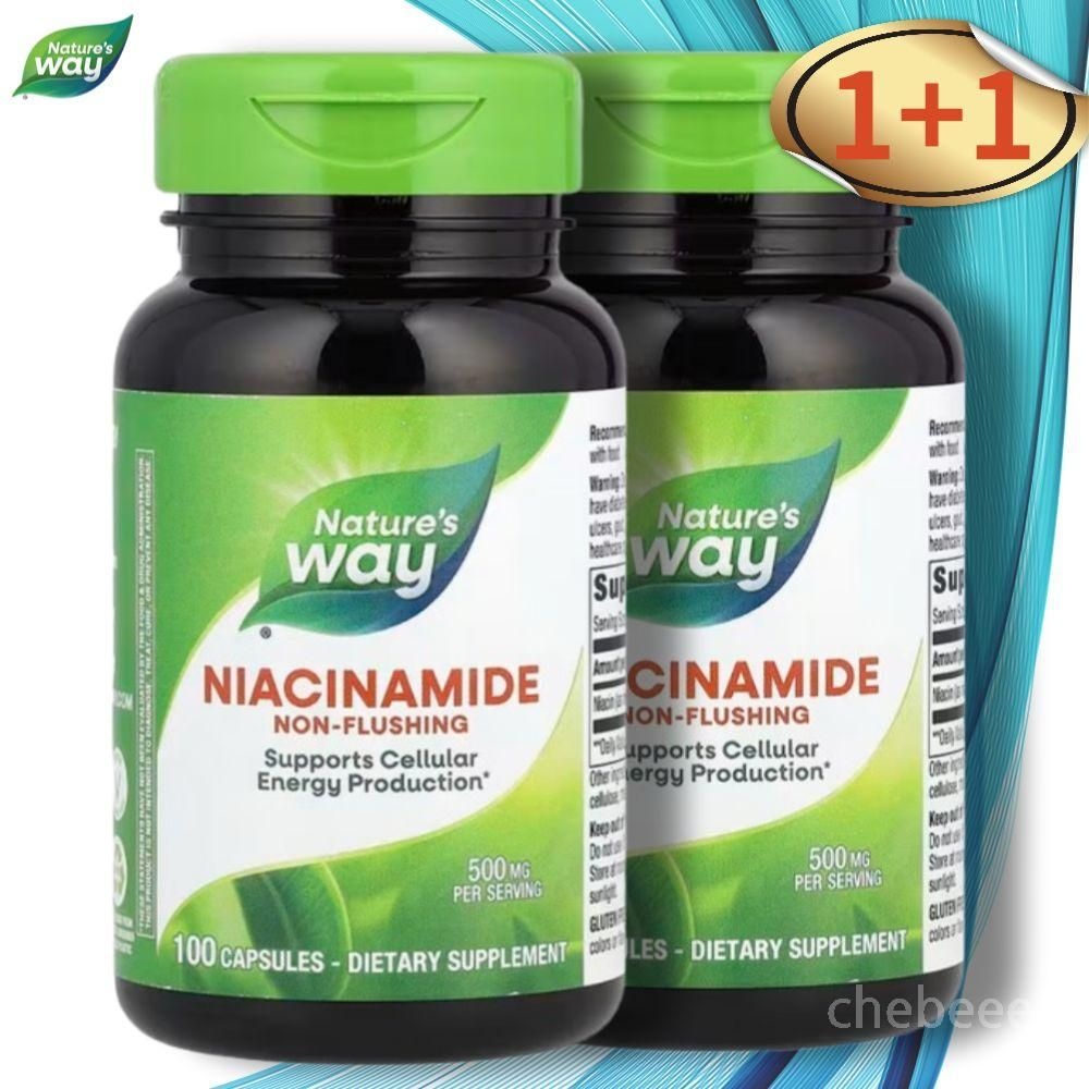 네이쳐스웨이 <b>홍조</b> 없는 나이아신 니아신 아마이드 500mg 100캡슐 2병 Niacin