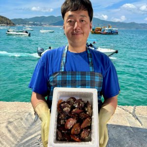 [경남 통영 박두선] 통영 산지직송 당일작업 비단가리비 1kg