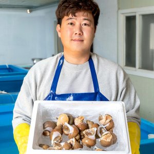 [경북 포항 이진철] 선주직송 포항 구룡포 백골뱅이