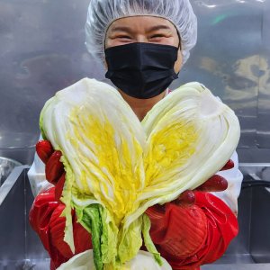 [빛채울] 국내산 담백 시원한 백김치