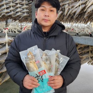 [전남 영광 임성환] 영광 법성포 찐보리굴비 (가정용/간편선물용/고급선물용)
