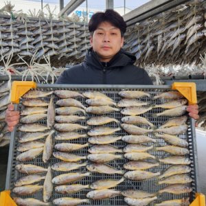 [전남 영광 임성환] 24년 햇 참조기 봉지굴비 (20마리/30마리)
