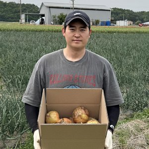 [농업회사법인지금] 국내산 양파 햇양파