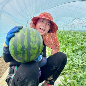 [충남 논산/부여 정찬은] 산지직송 초특가 가정용 꿀수박