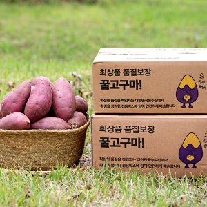 [대한민국농수산] 해남 꿀 고구마 호박고구마 3kg 5kg