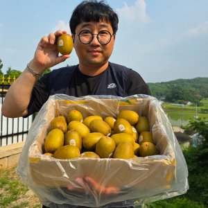 [주식회사 오렌지씨] 키위 명가 제스프리 골드키위 특대 점보