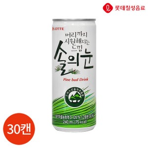 롯데칠성음료 롯데 솔의눈 240ml x 30캔