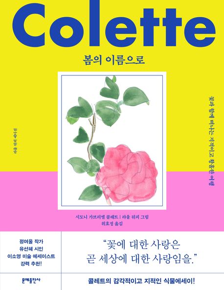 봄의 이름으로 : 라울 뒤피 에디션 