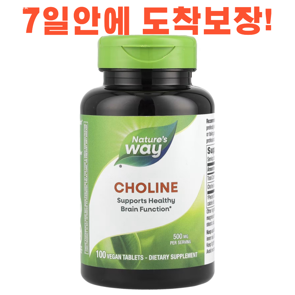 네이쳐스웨이 콜린 100정