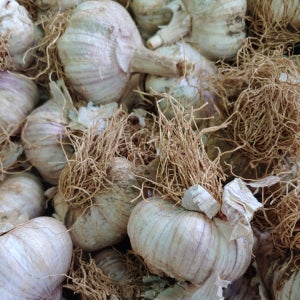 맛있게 알싸한 서산 대서마늘 1kg