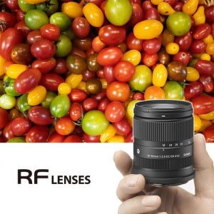 [시그마][내일도착보장] 시그마 C 18-50mm F2.8 DC DN (캐논RF용)_18-50_RF [갤러리아]