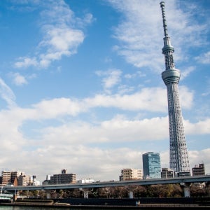 일본 모두투어 단독 효도 대구출발 우정관광 동경여행 부모님