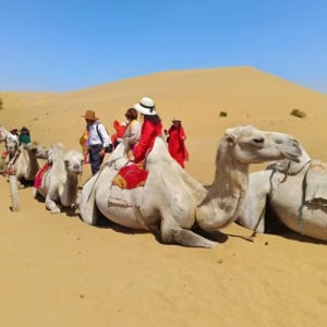 모두투어 테를지패키지여행 칠순 완전정복 명소 부산출발 몽골 여행