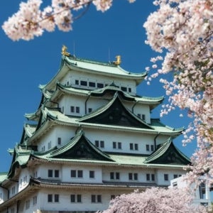 여행 청주 베스트셀러 노쇼핑 모두투어 도야마해외여행 코스