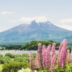상품모음 베스트셀러 모두투어 단체도야마해외패키지 청주출발
