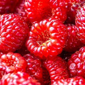 새콤달콤 무농약 고창 산딸기1kg