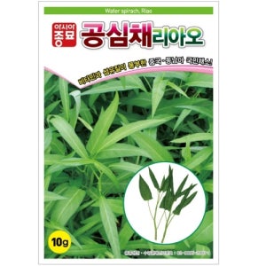 아시아종묘 씨앗 쌈 공심채리아오 750g