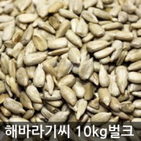 해바라기씨 10kg 벌크 1박스 대용량 호박씨 하양마트