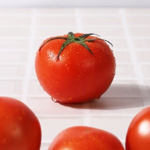[롯데백화점] 인정식탁 농협청과33번 토마토 10kg 1-2번 LE1219643706