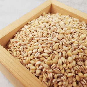 국내산 햇 찰보리 1kg+1kg