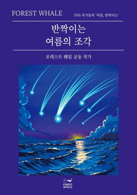 반짝이는 여름의 조각 [전자도서] : 포레스트 웨일 공동 작가