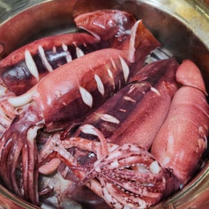 꼼꼼하게 선별한 동해안 통찜용 오징어 1kg