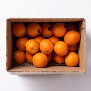 [대한민국농수산] 고당도 블랙라벨 오렌지