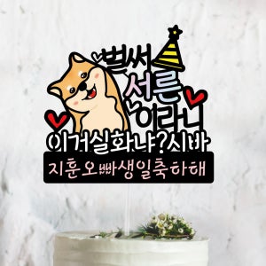 [써봄토퍼]이거실화냐 시바-생일축하 이벤트 케이크토퍼 서른파티, 써봄토퍼
