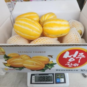못난이 성주참외 10kg 행사용 업소용