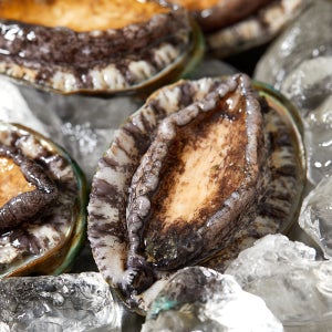 기력 회복에 좋은 싱싱한 완도 활전복 1kg