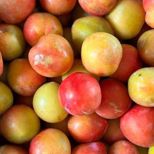 국내산 김천 제철 노지 자두 중소과 2kg