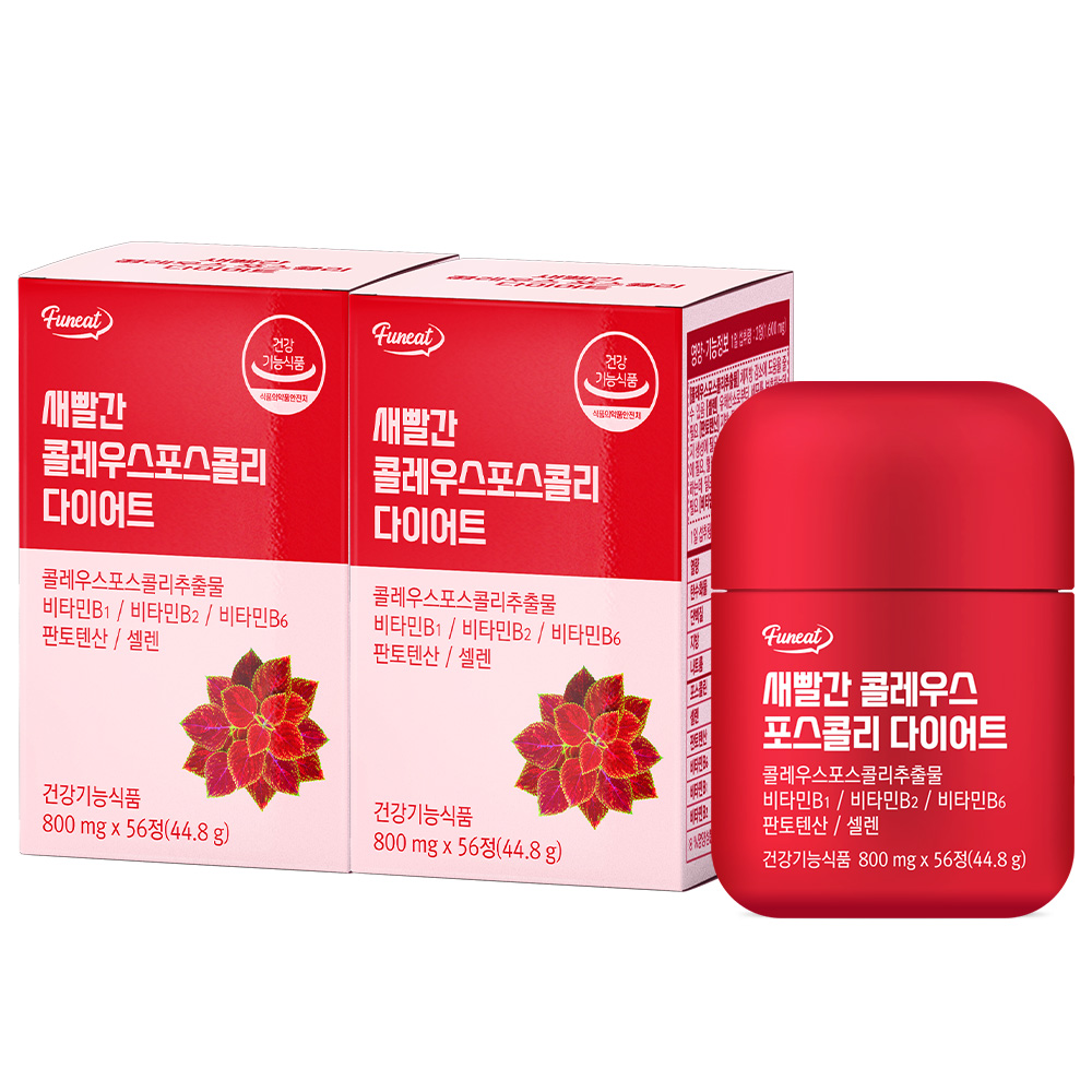 퍼니트 새빨간 <b>콜레우스포스콜리</b> 다이어트