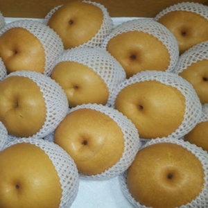 전라도 가정용 배15kg(31~35과)중소과 가정용/업소용