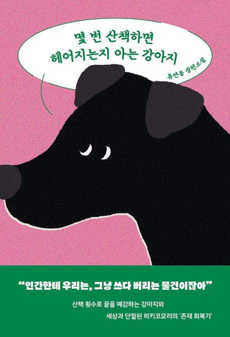 몇 번 산책하면 헤어지는지 아는 강아지 표지