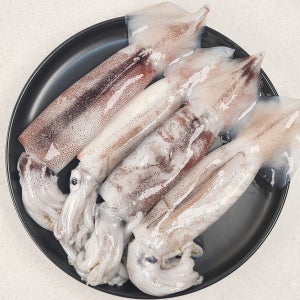 갓 잡아 보내는 국내산 생물 오징어 1kg (4~6미)