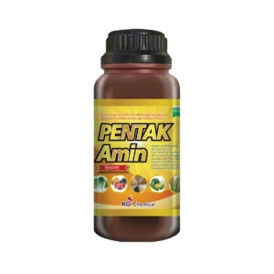 KG케미칼 펜타아민 500ml - 18여종 필수 아미노산제제