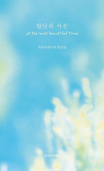 한낮의 서른 (가랑비메이커 단상집) 표지