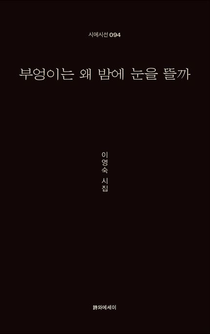 부엉이는 왜 밤에 눈을뜰까 표지