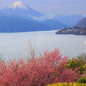 동경3일#TOP PICK#노팁&노옵션#꽉찬패턴#풀패키지#후지산뷰온천/후지산,하코네,시부야