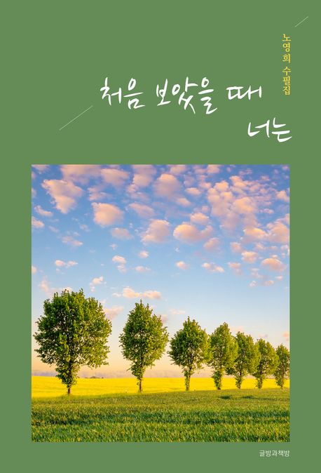 처음 보았을때 너는 : 노영희 수필집 표지