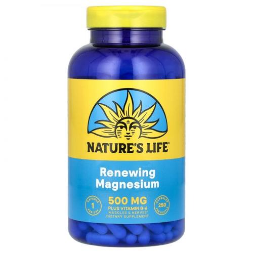 Nature’s Life, Renewing Magnesium, 500 mg, 250 Capsules
