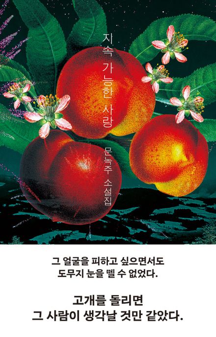 지속 가능한 사랑 (문녹주 소설집) 표지