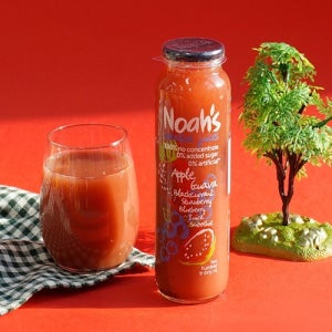 노아 스트로베리 블루베리 주스 스무디 260ml x 12병