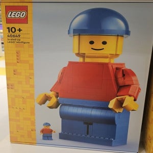 레고 40649 대형 미니피겨
