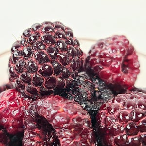 검붉은빛 과즙이 가득한 급냉 토종복분자 (특품) 1kg