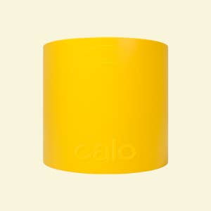 원적외선 다이어트 칼로리돔