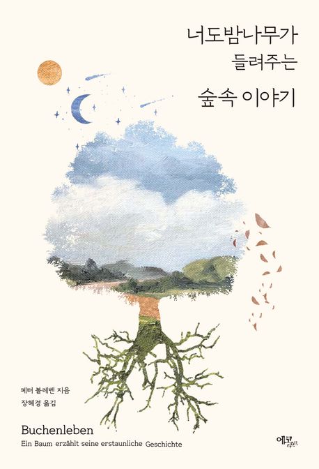 너도밤나무가들려주는숲속이야기