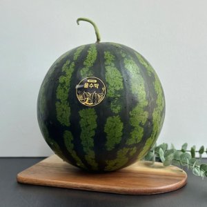 함안 꿀수박 고당도 가정용 산지직송 5kg